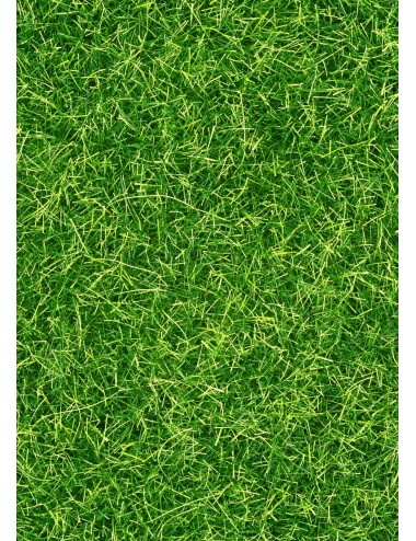 Pasto Sintético 20 mm Premium