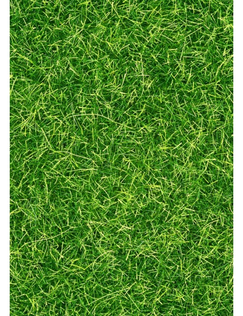 Pasto Sintético 20 mm Premium